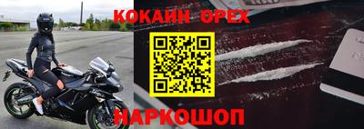 МДПВ Кингисепп