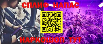 МДПВ Кингисепп