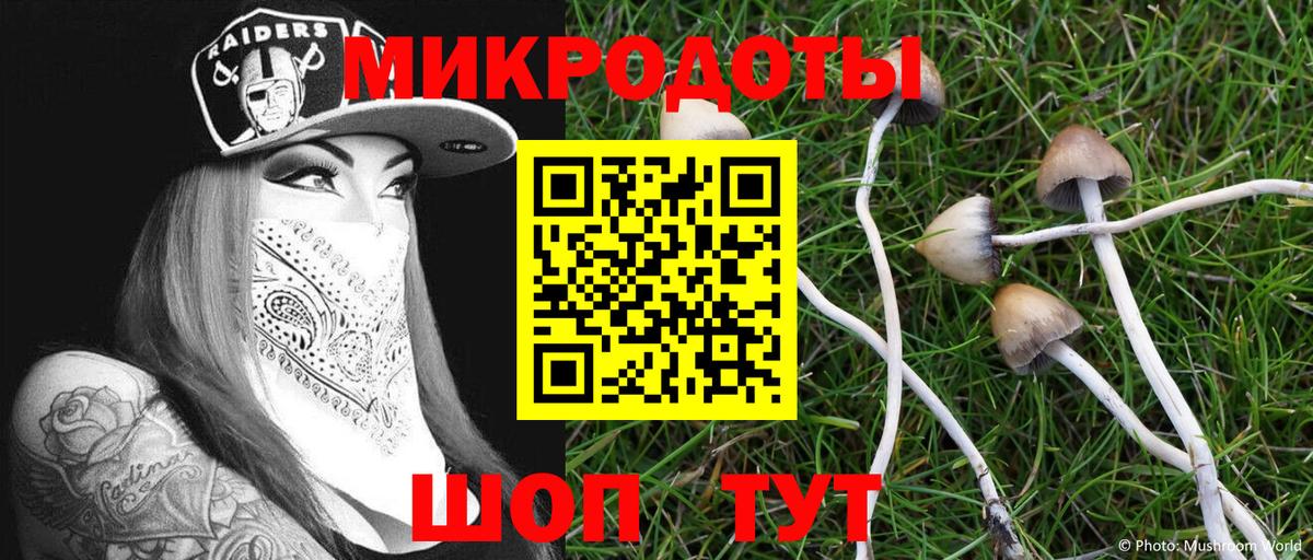 Псилоцибиновые грибы мухоморы Шебекино