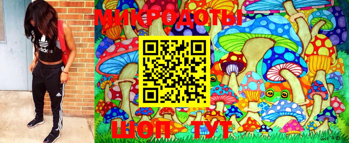 Шебекино  Галлюциногенные грибы MAGIC MUSHROOMS  Вход с VPN  Псилоцибиновые грибы Cubensis 
